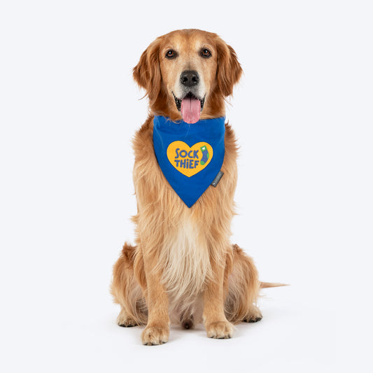 HUFT Socks Thief Bandana For Dog - Blue - Heads Up For Tails