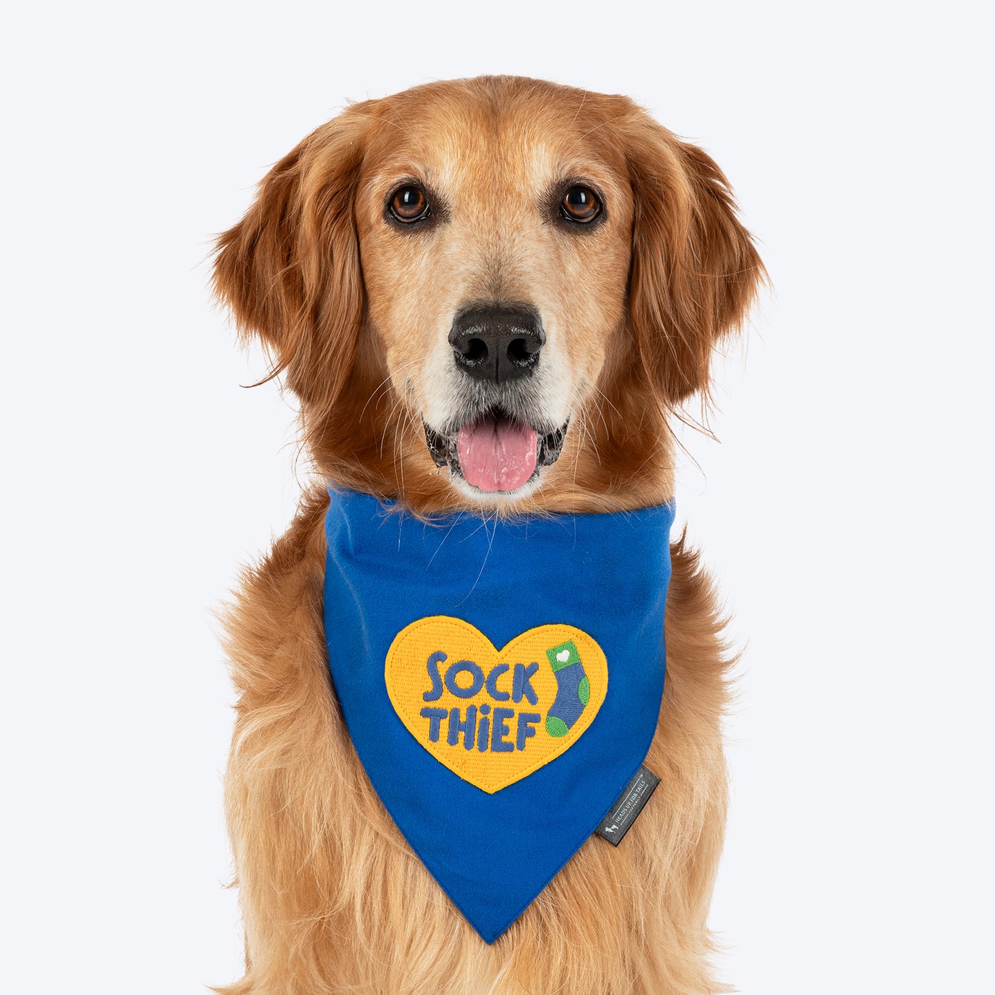 HUFT Socks Thief Bandana For Dog - Blue - Heads Up For Tails