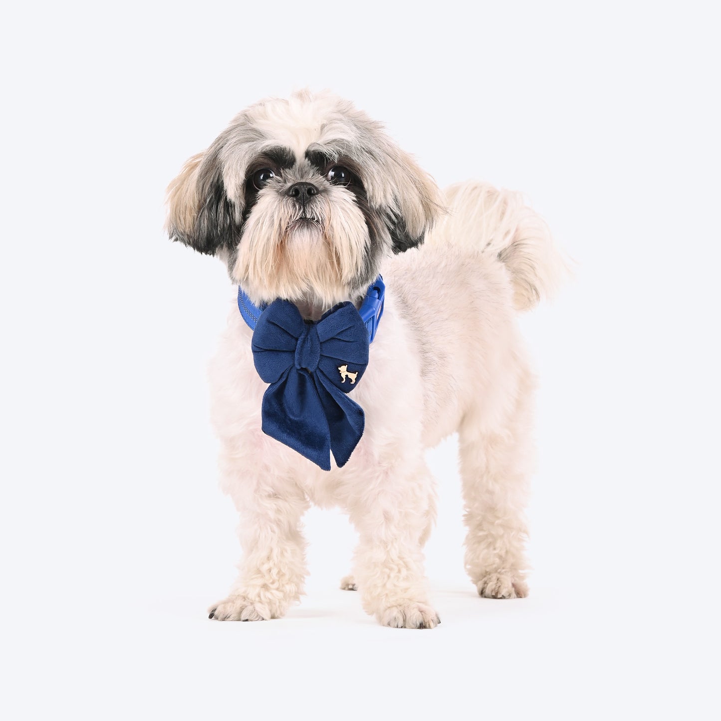 HUFT Regal Luxe Bow Tie For Dog - Navy - Heads Up For Tails