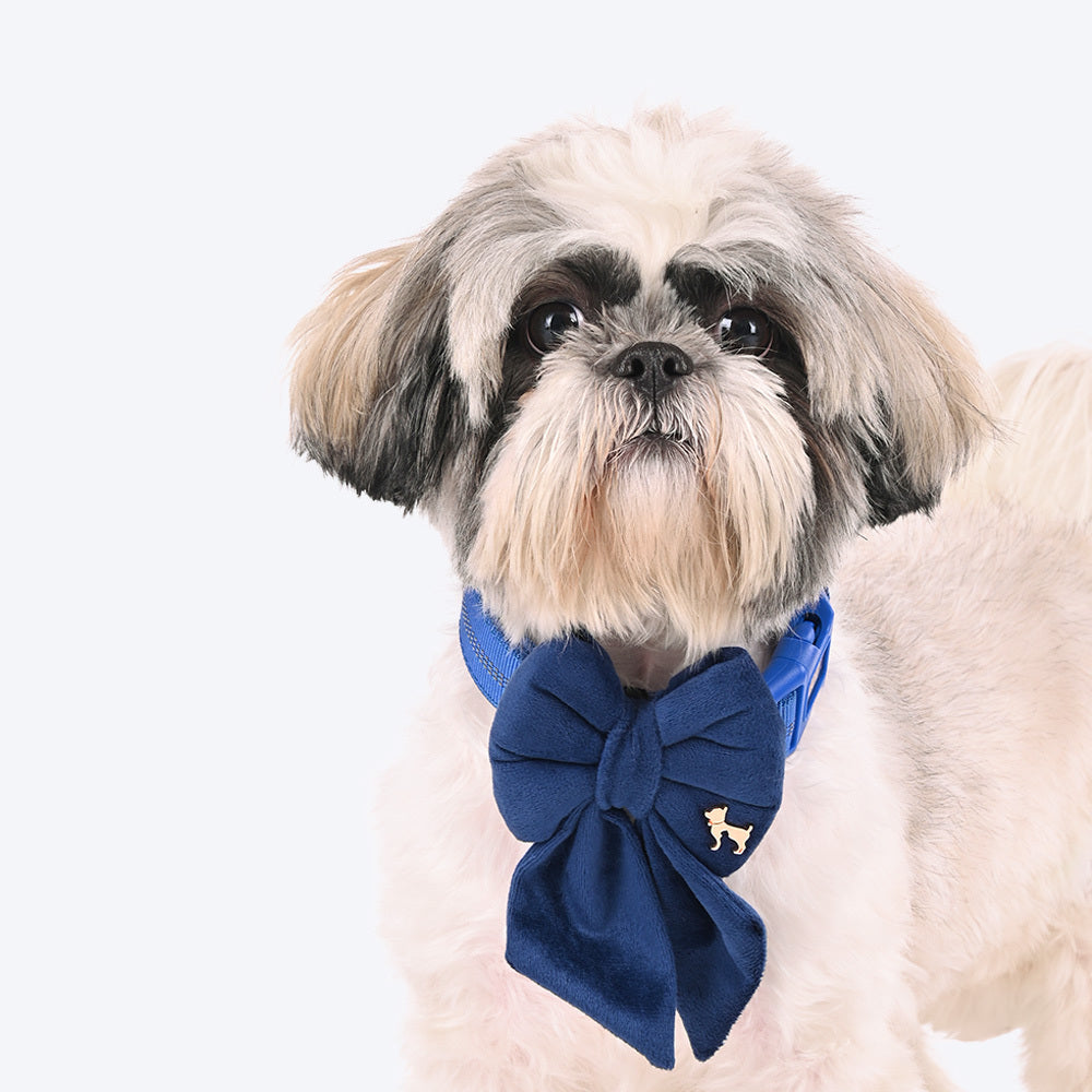 HUFT Regal Luxe Bow Tie For Dog - Navy - Heads Up For Tails