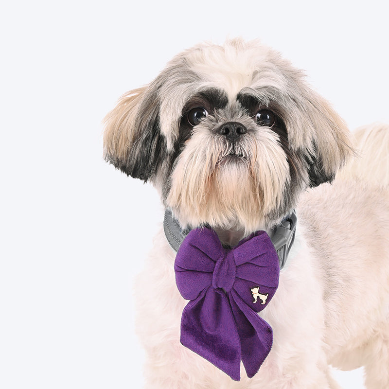 HUFT Regal Luxe Bow Tie For Dog - Purple - Heads Up For Tails