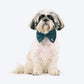 HUFT Regal Luxe Collar With Bow Tie For Dog - Green