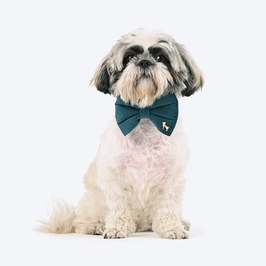 HUFT Regal Luxe Collar With Bow Tie For Dog - Green