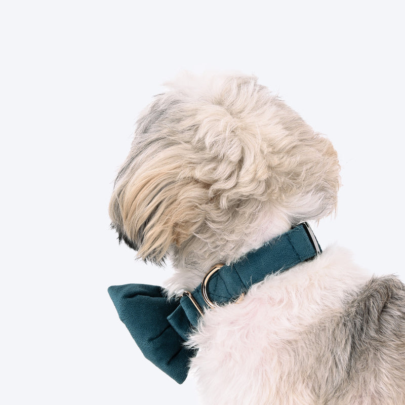 HUFT Regal Luxe Collar With Bow Tie For Dog - Green - Heads Up For Tails