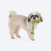 HUFT Wiggly Ribbon Rope Toy For Dog - Multicolor - Heads Up For Tails