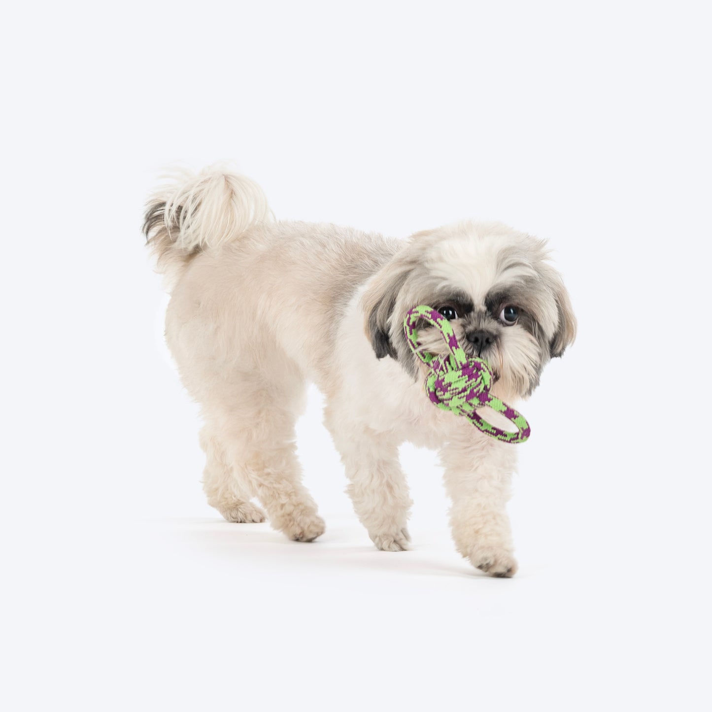 HUFT Twin Loop Rope Toy For Dog - Purple & Green - Heads Up For Tails