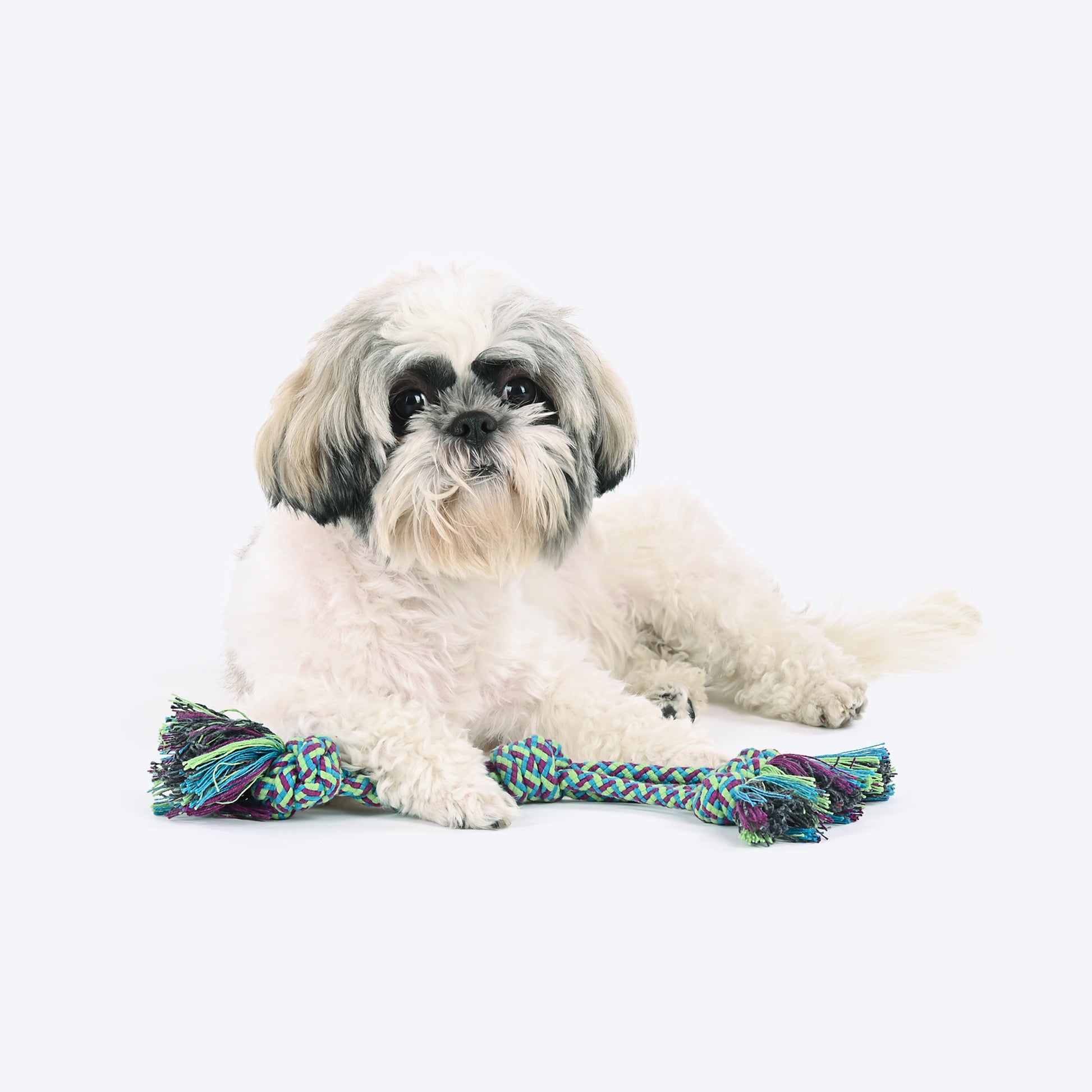 HUFT Triple Tangle Rope Toy For Dog - Multicolour - Heads Up For Tails