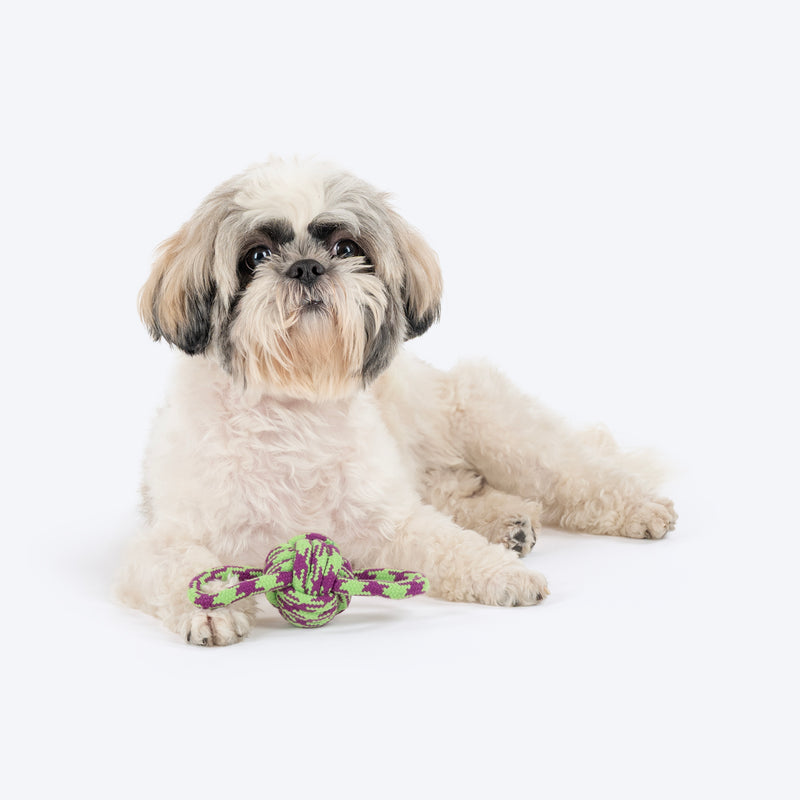 HUFT Twin Loop Rope Toy For Dog - Purple & Green - Heads Up For Tails