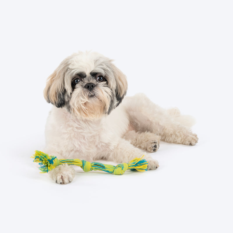 HUFT Wiggly Ribbon Rope Toy For Dog - Multicolor - Heads Up For Tails