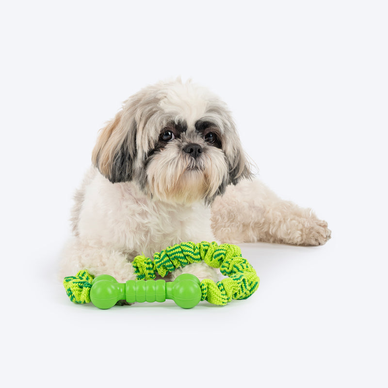 HUFT Tuggables Pull & Play Bungee Rope Toy For Dog - Light Green - Heads Up For Tails