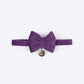 HUFT Regal Luxe Bow Tie With Strap For Cat - Purple