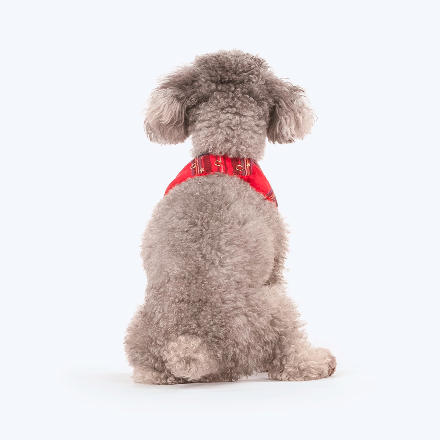 HUFT Starry Nights Festive Scarf For Cats & Puppies - Red & Blue - Heads Up For Tails