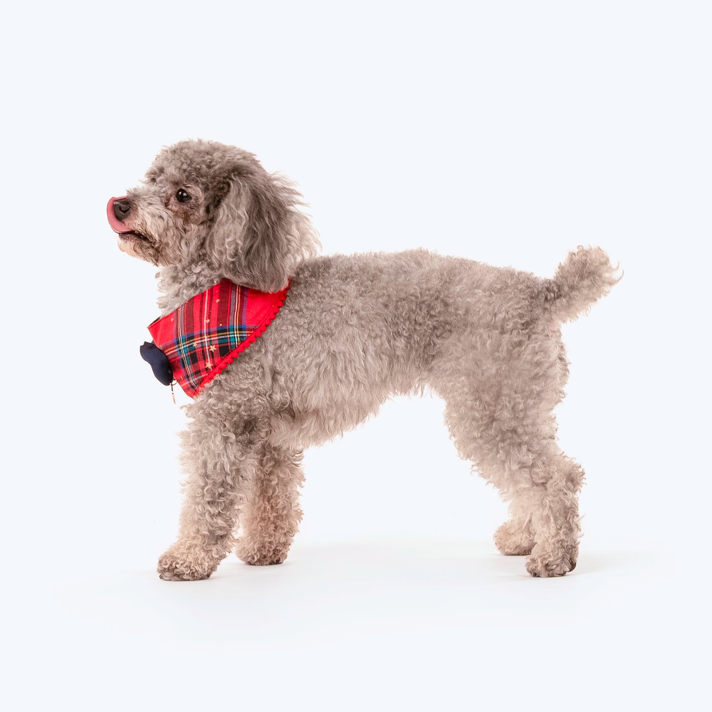 HUFT Starry Nights Festive Scarf For Cats & Puppies - Red & Blue - Heads Up For Tails