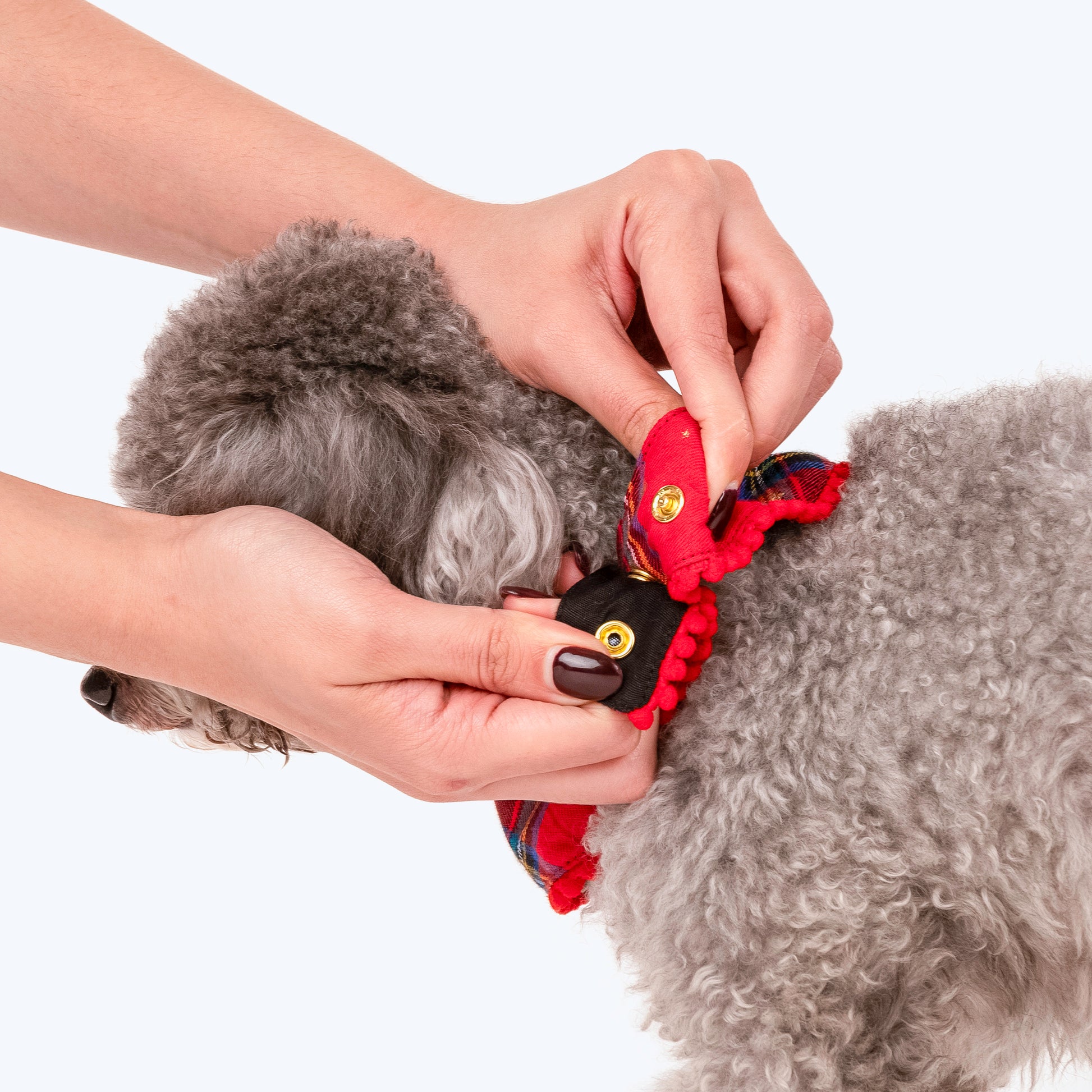 HUFT Starry Nights Festive Scarf For Cats & Puppies - Red & Blue - Heads Up For Tails