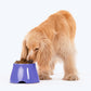 HUFT Elevated Dog Bowl €“ Blue - Heads Up For Tails
