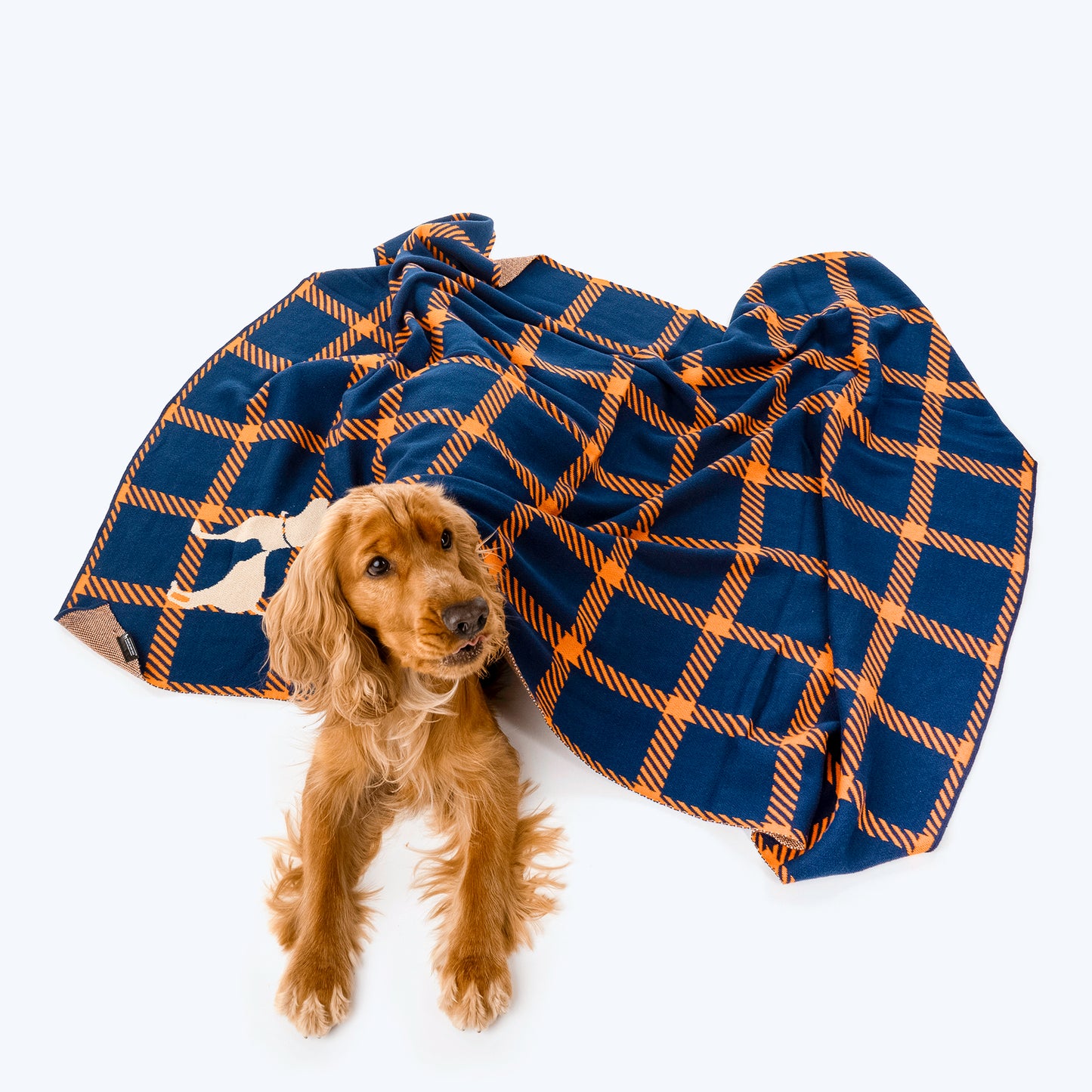HUFT Warm Hug Blanket For Pets - Navy Blue & Orange - Heads Up For Tails