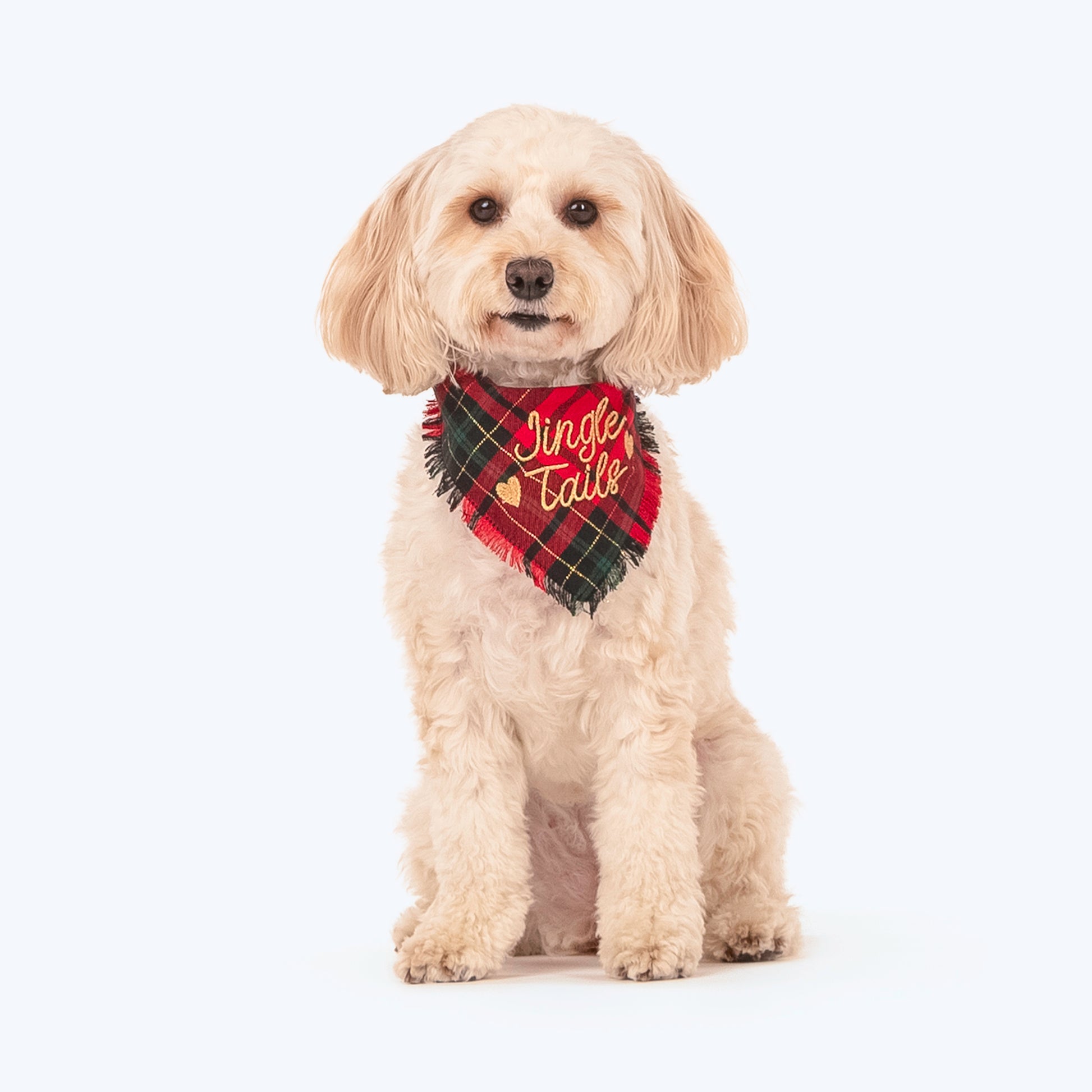 HUFT Christmas Jingle Tails Bandana For Dog & Cat - Heads Up For Tails