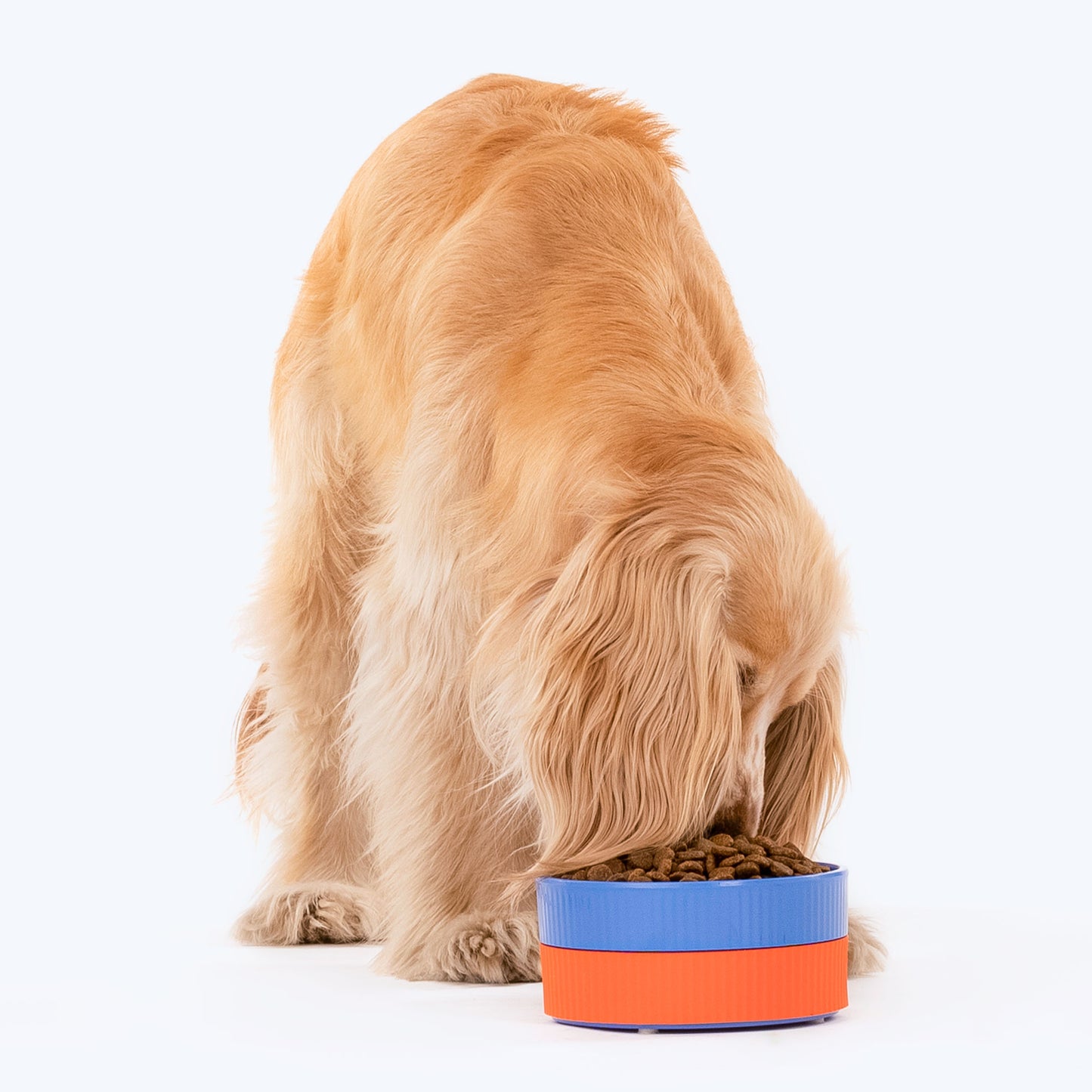 HUFT Dual Color Fun Melamine Bowl For Pets (Blue & Orange) - Heads Up For Tails