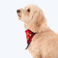 HUFT Christmas Jingle Tails Bandana For Dog & Cat - Heads Up For Tails