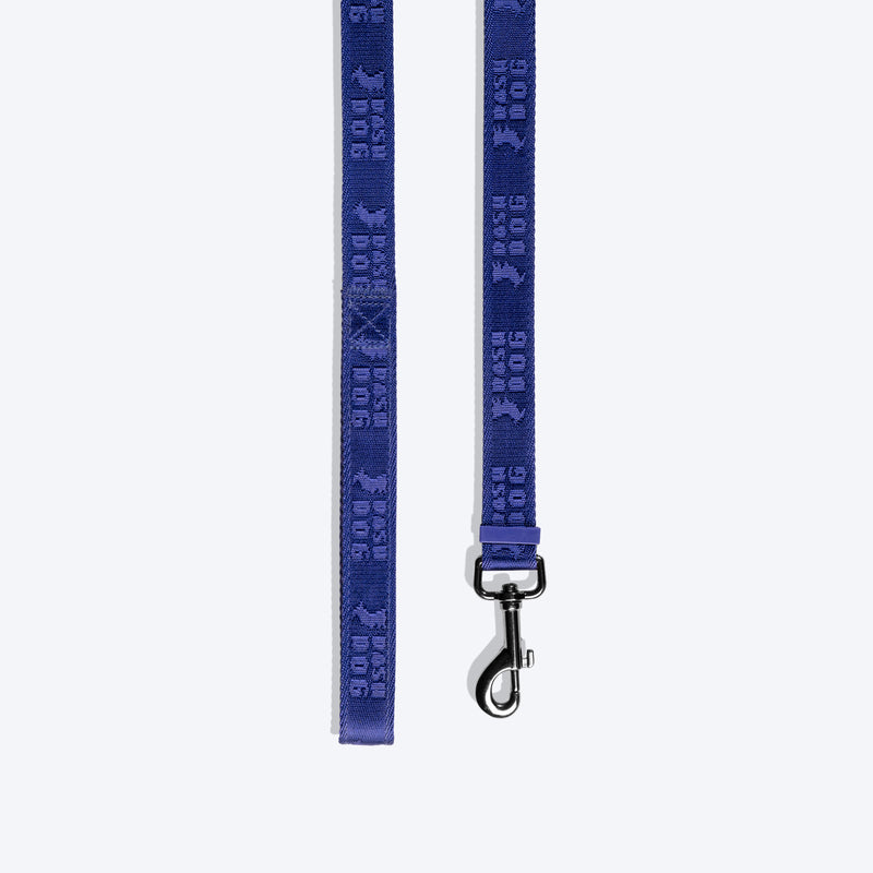Dash Dog Oh-So-Handy Flexible Leash For Dog - Purple 7 ft - Heads Up For Tails