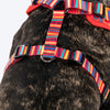 HUFT Good Doggie Adjustable Harness For Dog - Multicolor - Heads Up For Tails