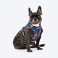 HUFT Technicolor Tartan Adjustable Harness For Dog - Multicolor - Heads Up For Tails