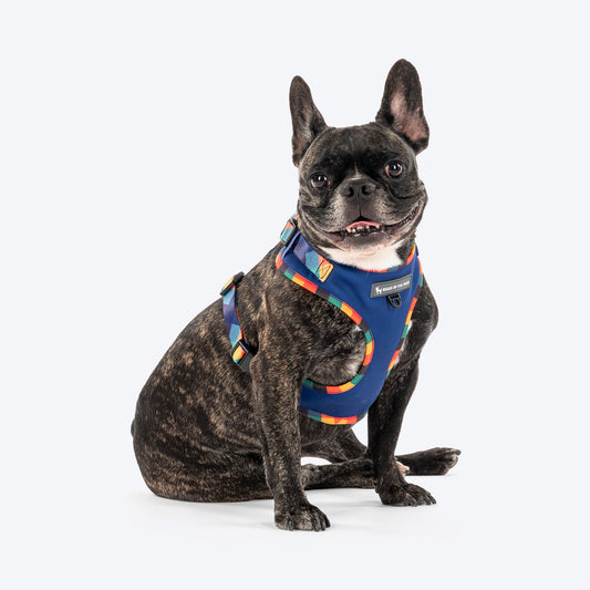 HUFT Technicolor Tartan Adjustable Harness For Dog - Multicolor - Heads Up For Tails