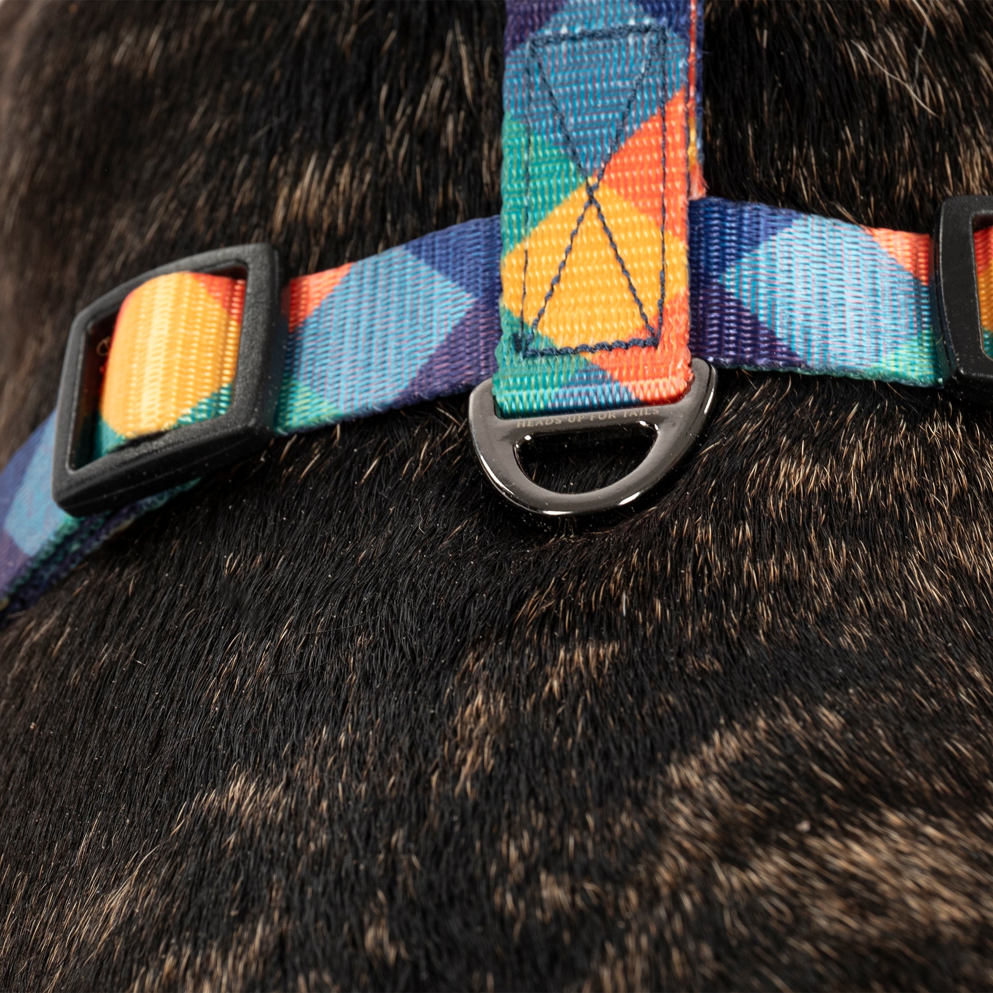 HUFT Technicolor Tartan Adjustable Harness For Dog - Multicolor - Heads Up For Tails