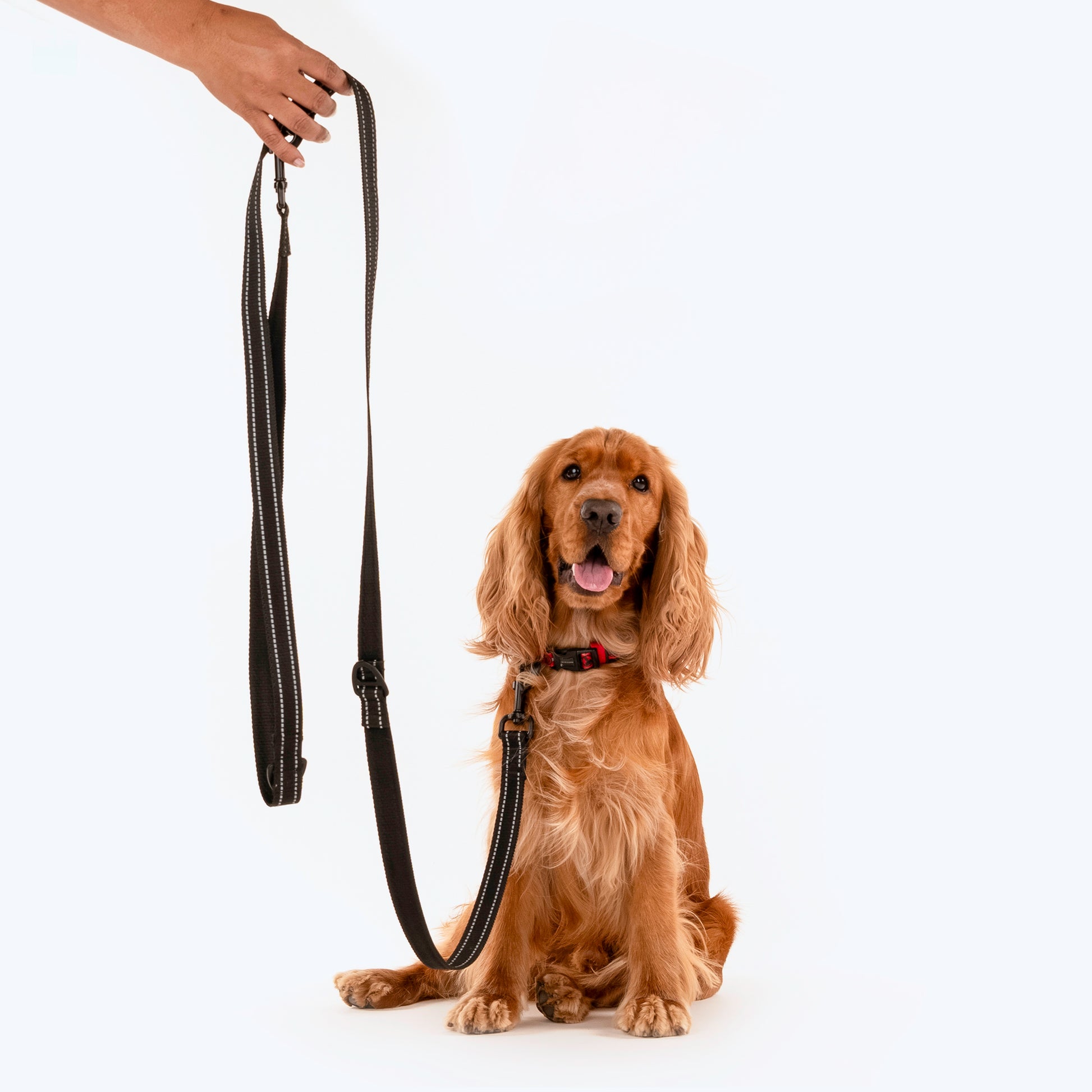 HUFT Reflective Multi-purpose Leash For Dog - Black (2.5 meters) - Heads Up For Tails