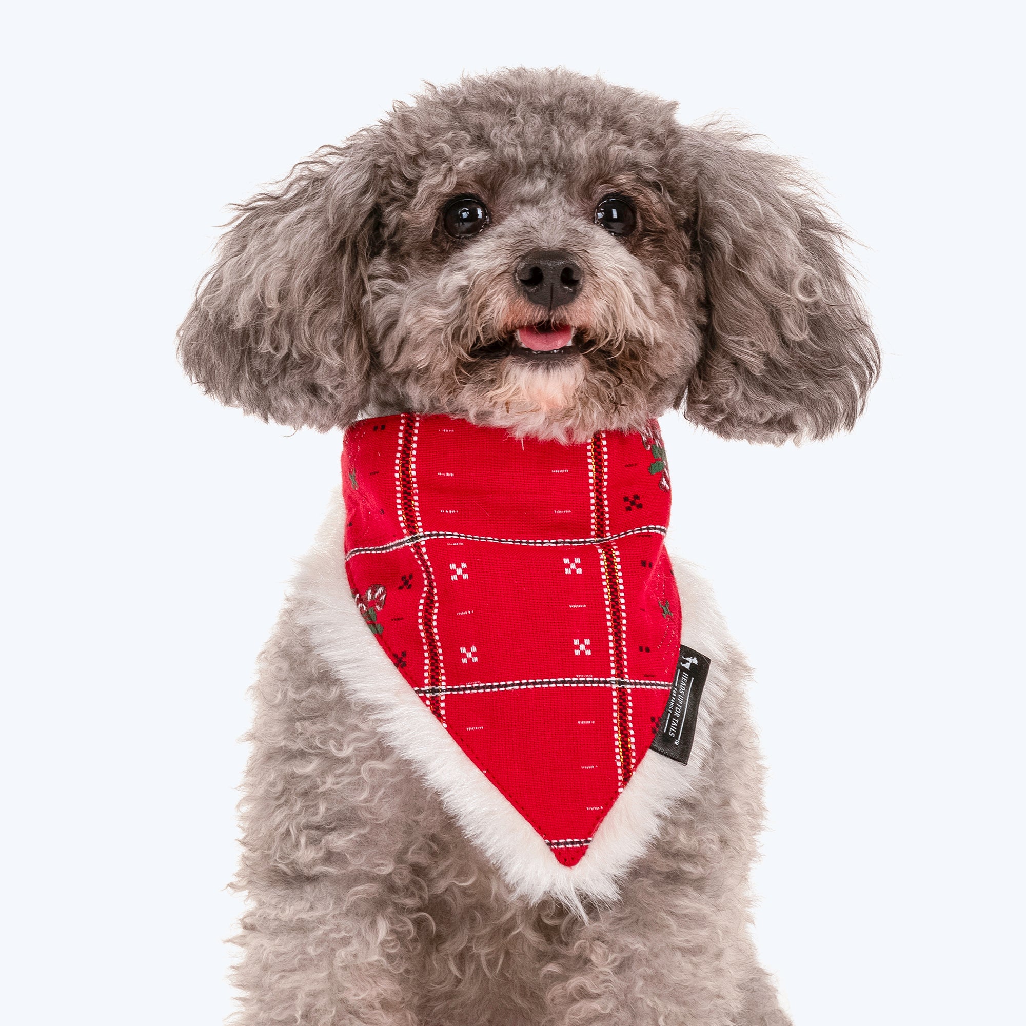 Royal Green Christmas store Tie-On Dog Bandana