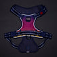 Dash Dog Flow Walk-Along Harness For Dog - Pink & Purple