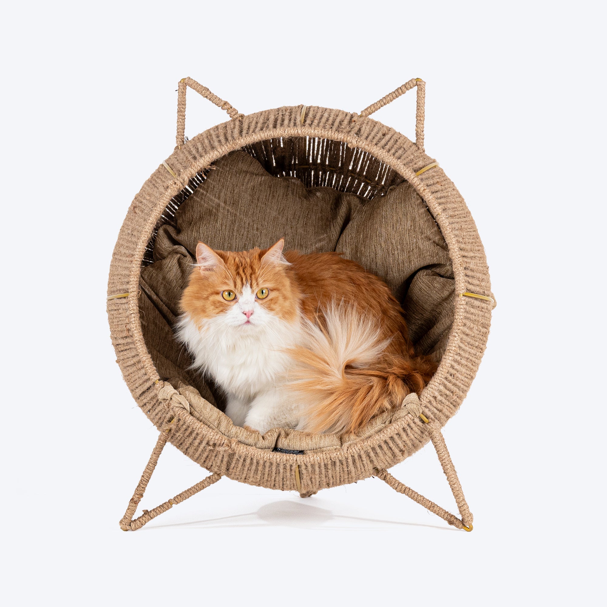 Cat Beds Crates Online Buy Best Cat Beds Tents for Cats Heads Up For Tails