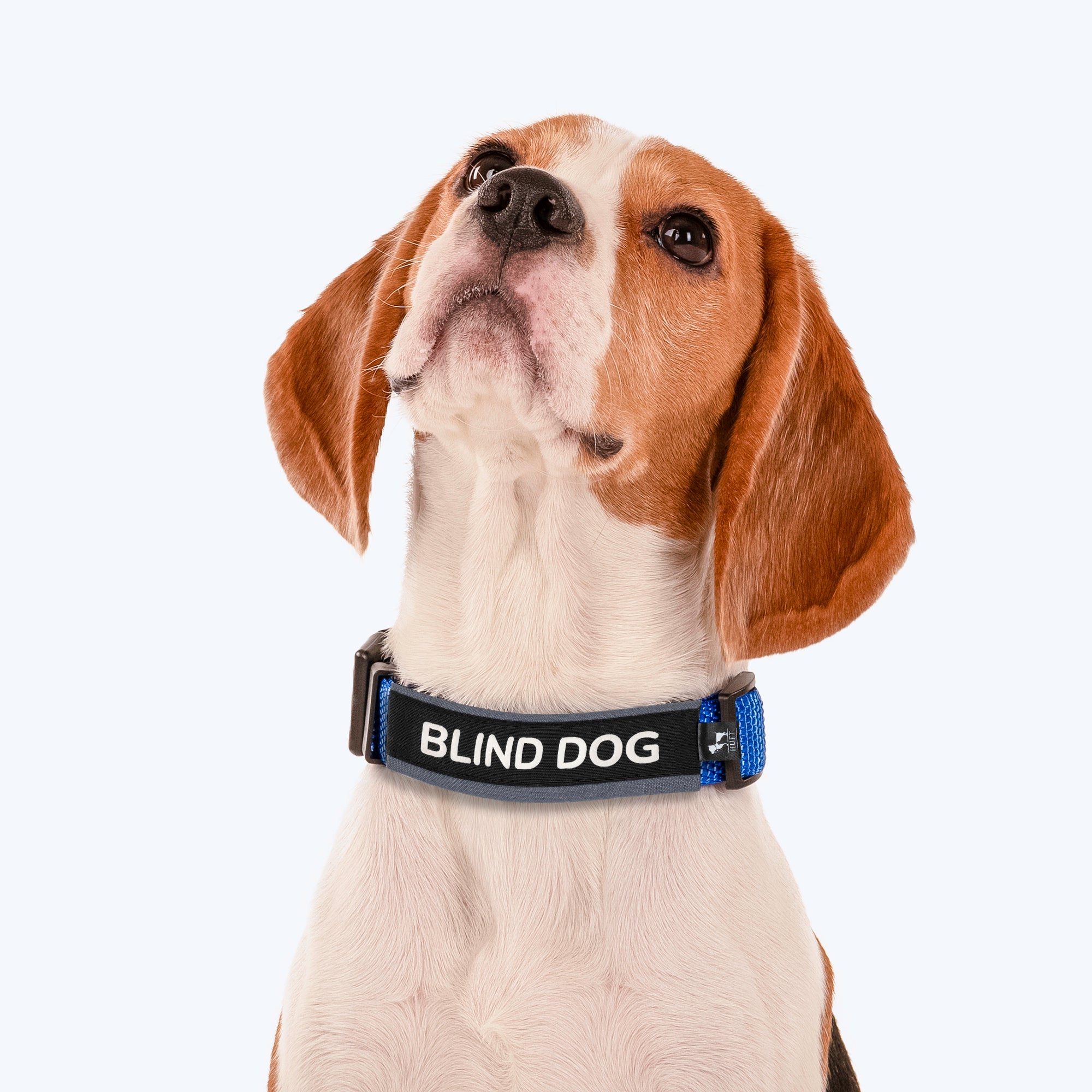 Blind store dog collar