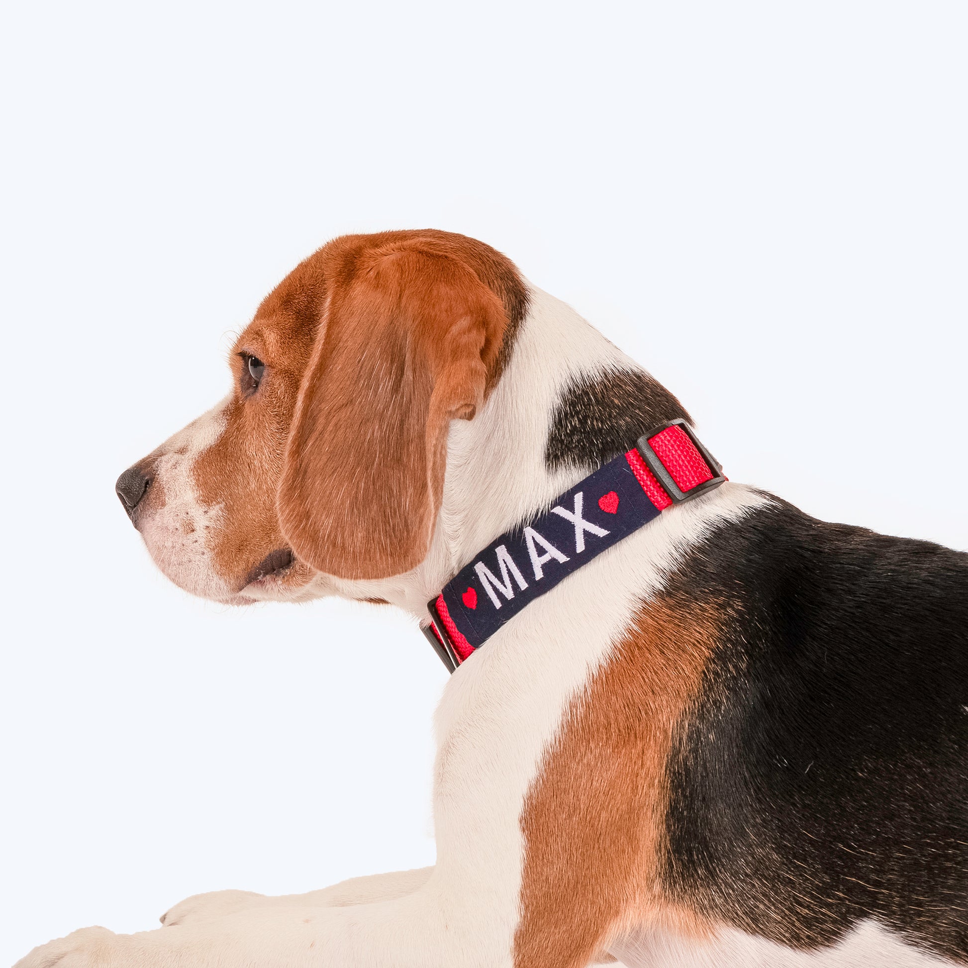 HUFT Personalised Basics Dog Collar - Crimson Red - Heads Up For Tails
