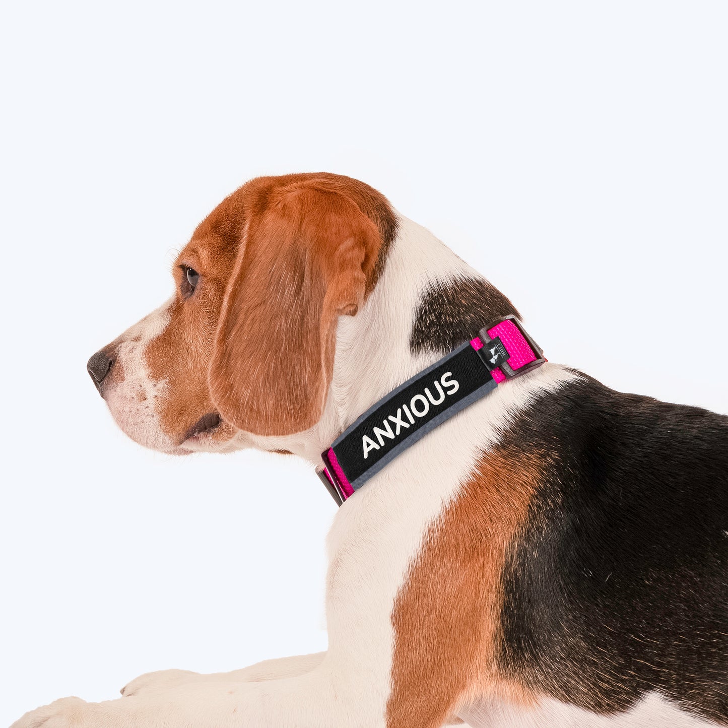 HUFT Trooper Walking Aid Leash & Collar Insert (Anxious) - Heads Up For Tails