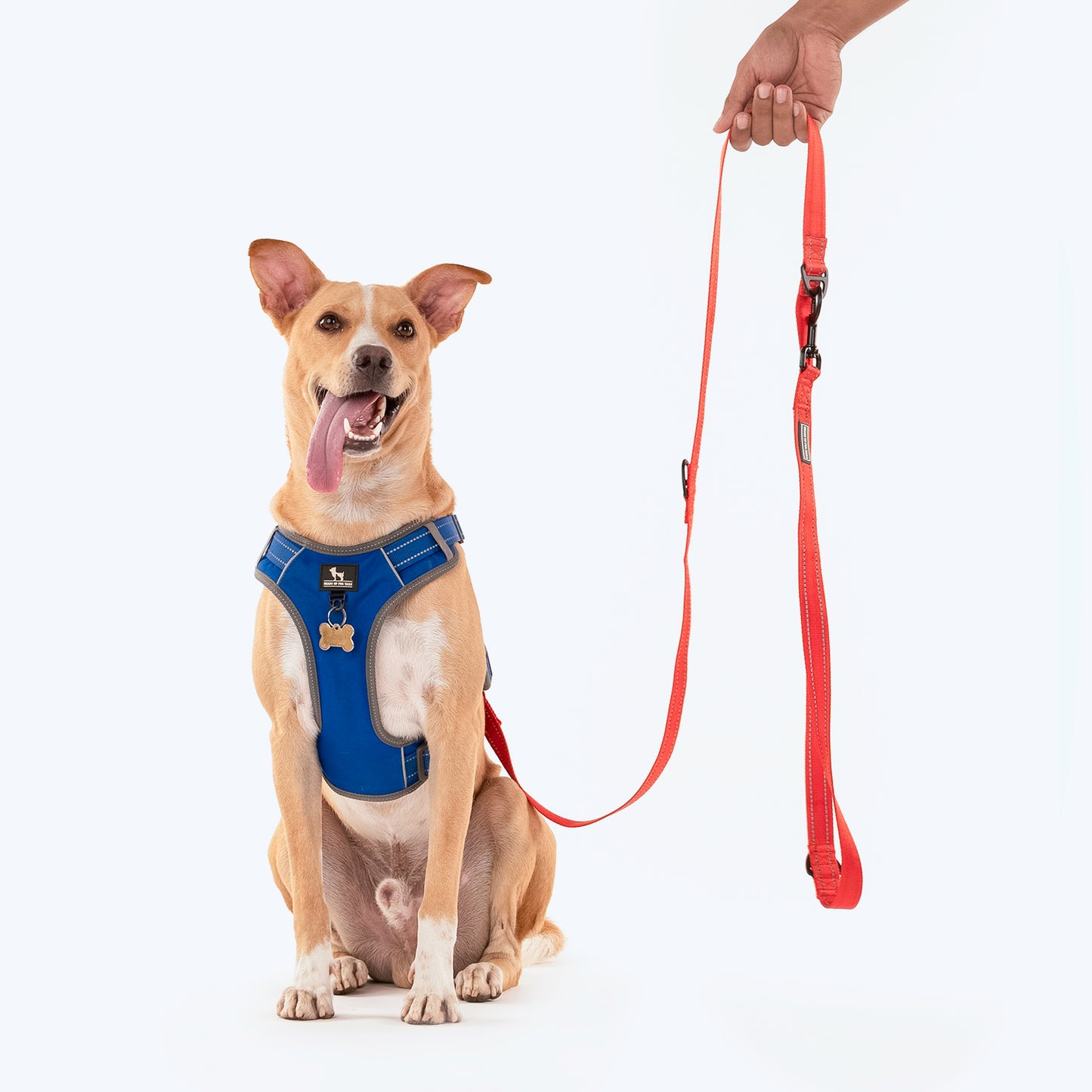 HUFT Reflective Multi-purpose Leash For Dog - Red (2.5 meters) - Heads Up For Tails