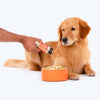 HUFT Food Topper Chicken Liver with Organic Turmeric For Dog - Heads Up For Tails
