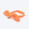HUFT Pawsome Polka Bow Tie With Strap For Cat - Orange_01