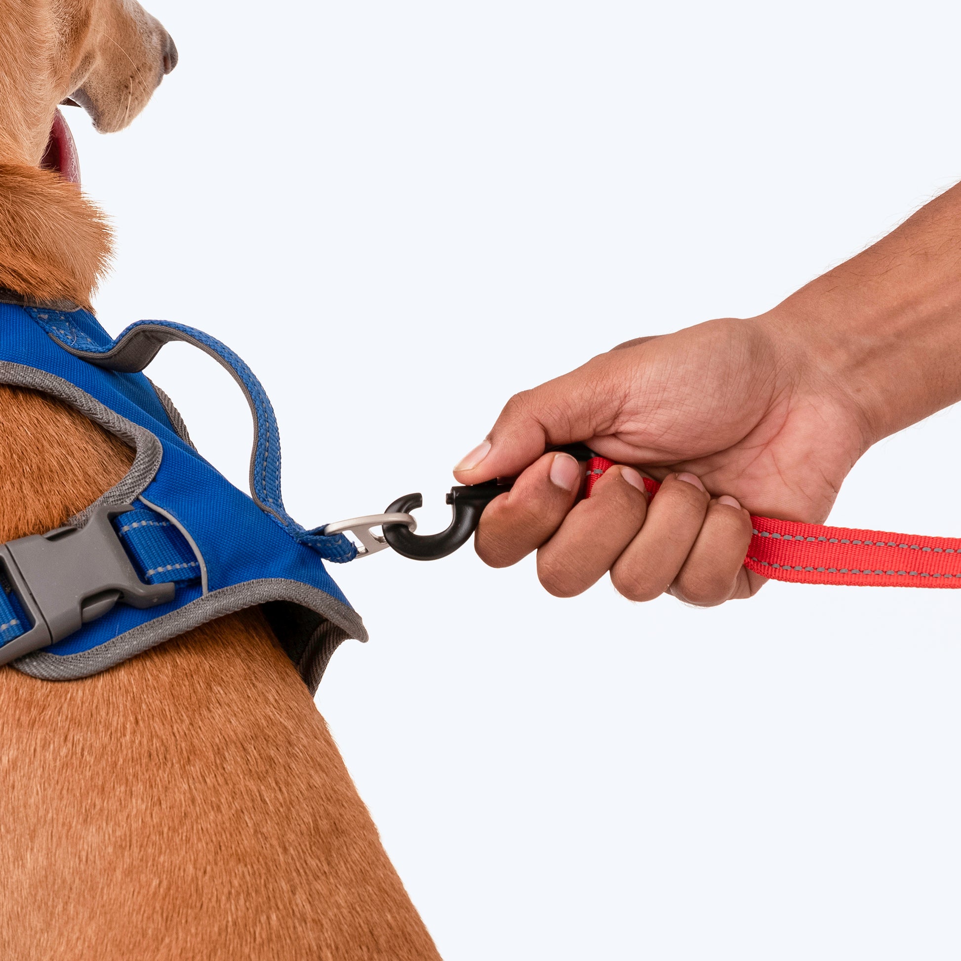 HUFT Reflective Multi-purpose Leash For Dog - Red (2.5 meters) - Heads Up For Tails