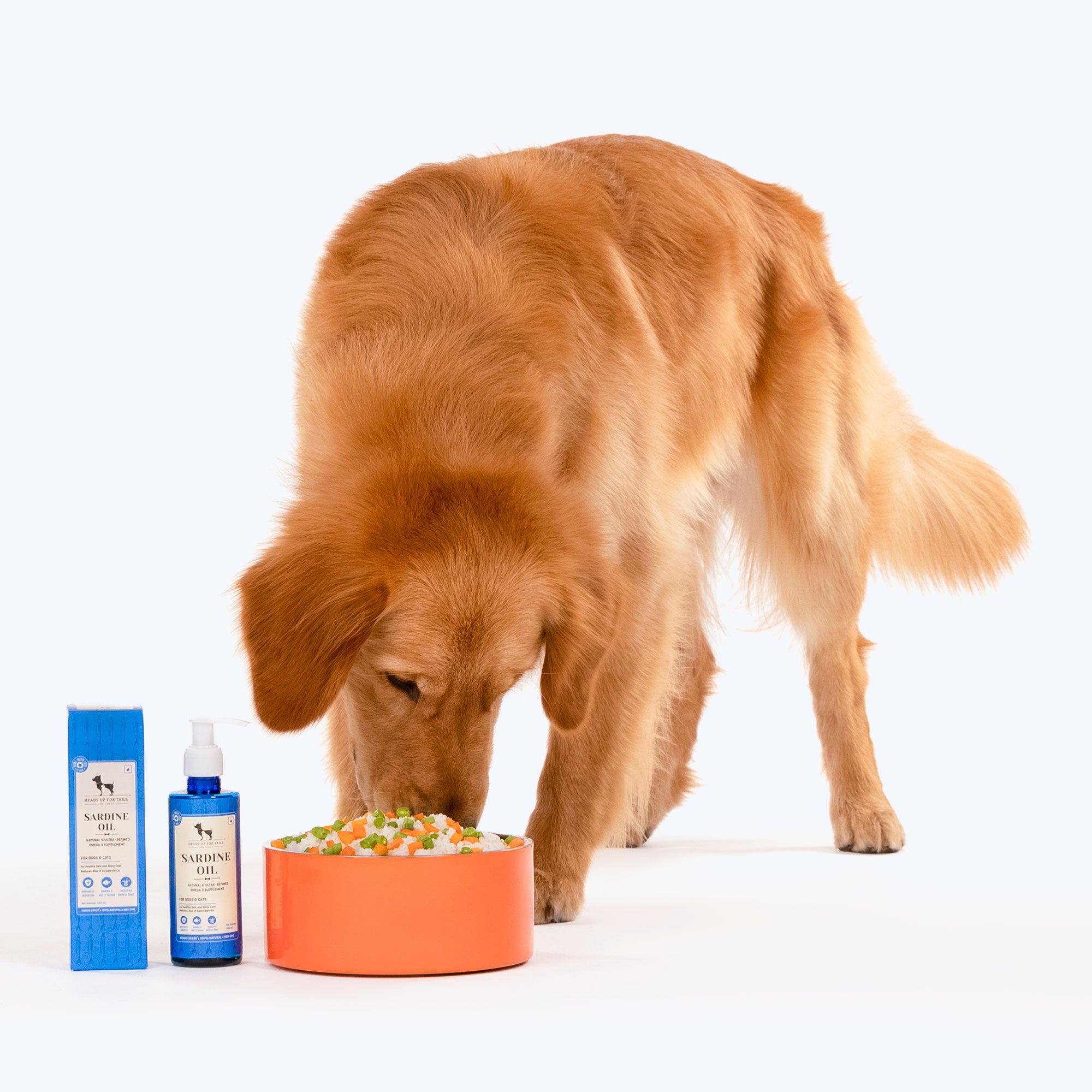 Buy fish outlet oil for dogs