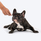 HUFT Yum Nums Soft & Chewy Sticks Banana with Real Chicken Treat For Dogs - 70 g - Heads Up For Tails