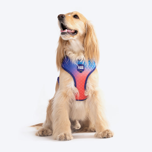 Dash Dog Flow Easy Walk Harness - Violet & Red - Heads Up For Tails