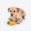 HUFT Chewtastic Fill-N-Fun Carrot Chew Toy For Dog - Orange & Green - Heads Up For Tails