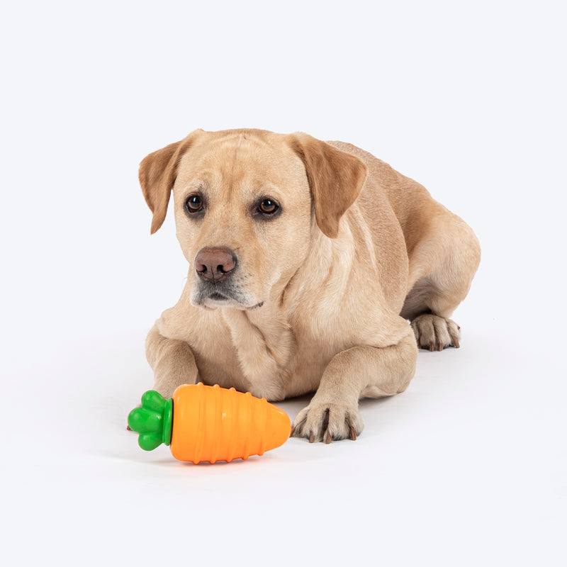 HUFT Chewtastic Fill-N-Fun Carrot Chew Toy For Dog - Orange & Green - Heads Up For Tails