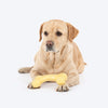 HUFT Chewtastic Chomp Champ Bone Chew Toy For Dog - Yellow - Heads Up For Tails