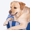 HUFT Stripe Siesta Lounger Dog Bed - Blue & White - Heads Up For Tails