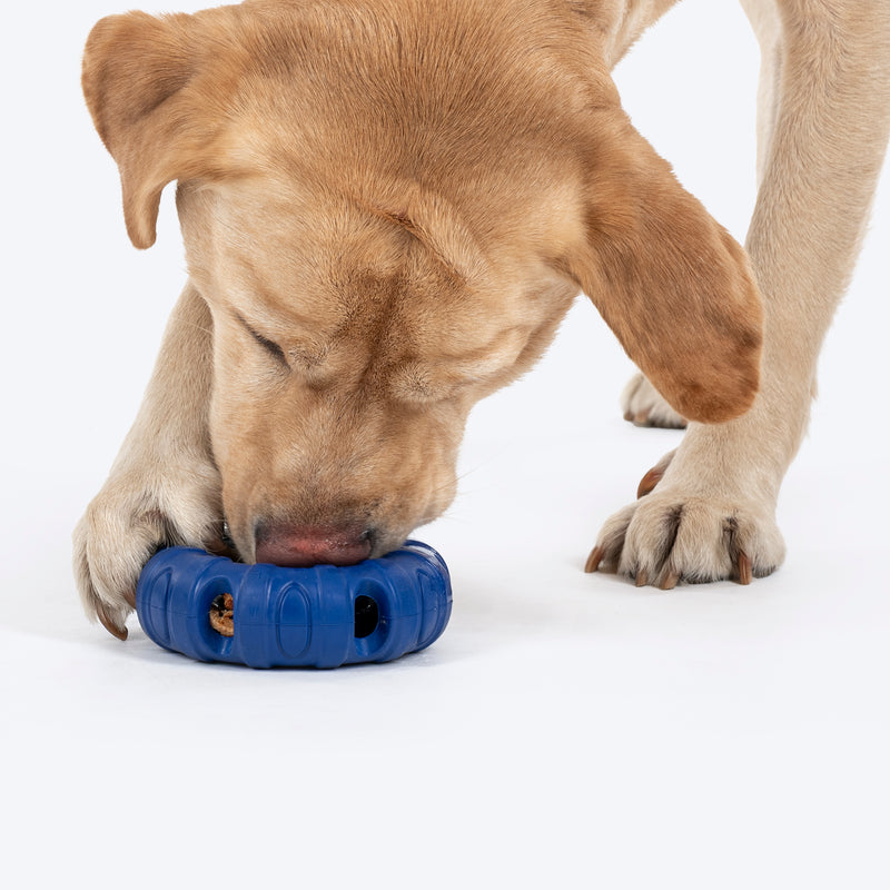 HUFT Chewtastic Roll-A-Tyre Chew Toy For Dog - Blue - Heads Up For Tails