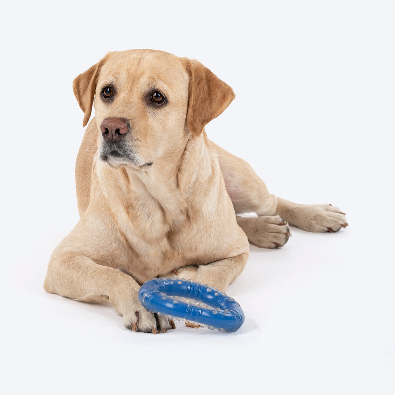 HUFT Chewtastic Tug-O-Ring Chew Toy For Dog - Blue - Heads Up For Tails