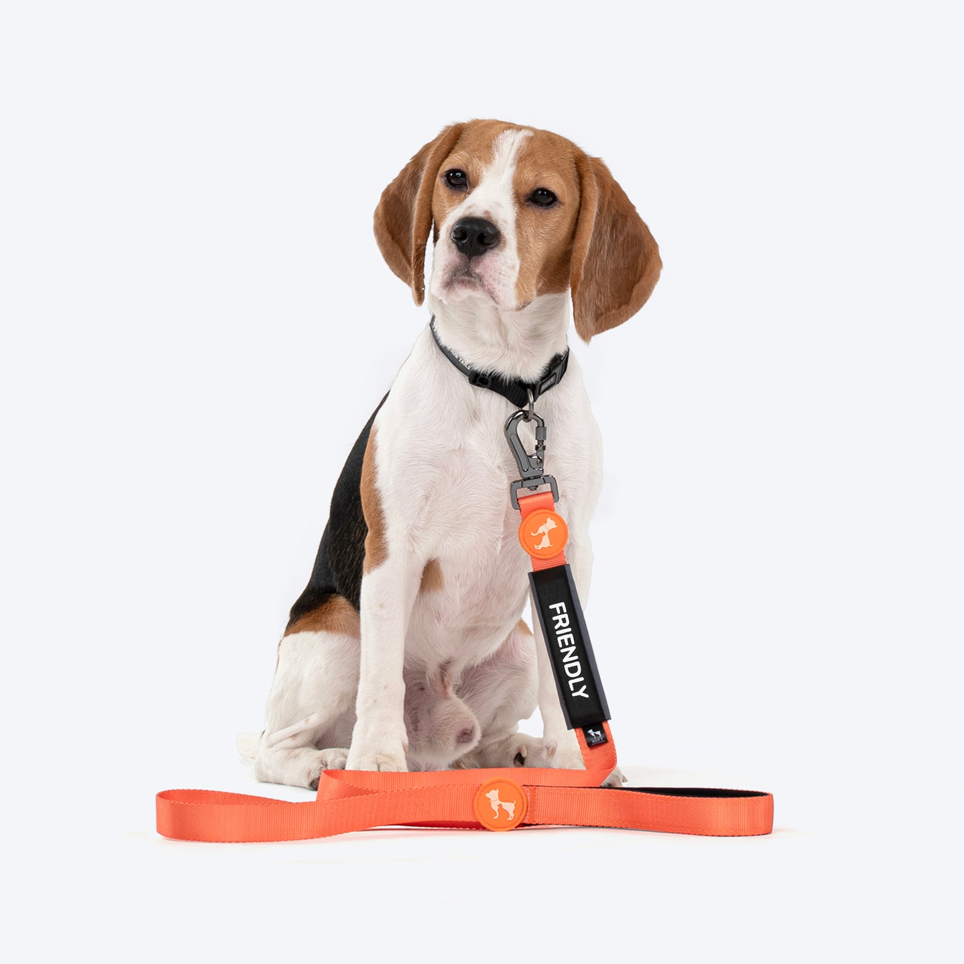 HUFT Trooper Walking Aid Leash & Collar Insert (Friendly) - Heads Up For Tails