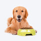 HUFT Diamond Melamine Bowl For Pets (Neon Green) - Heads Up For Tails